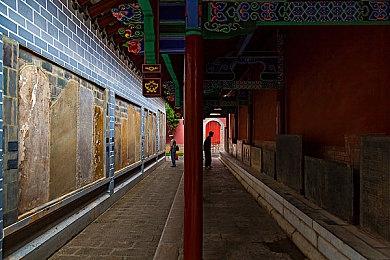 收集机器人入侵《新世界》游戏市场价格大跌