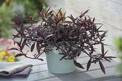 农场模拟游戏《超级种田男孩》现已在Steam平台推出试玩Demo